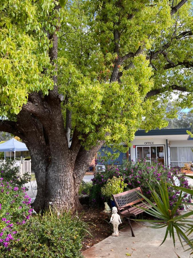Sturt Motel Balranald Exterior photo